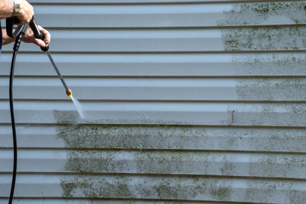 Affordable siding repair and maintenance services in Columbia Falls, MT